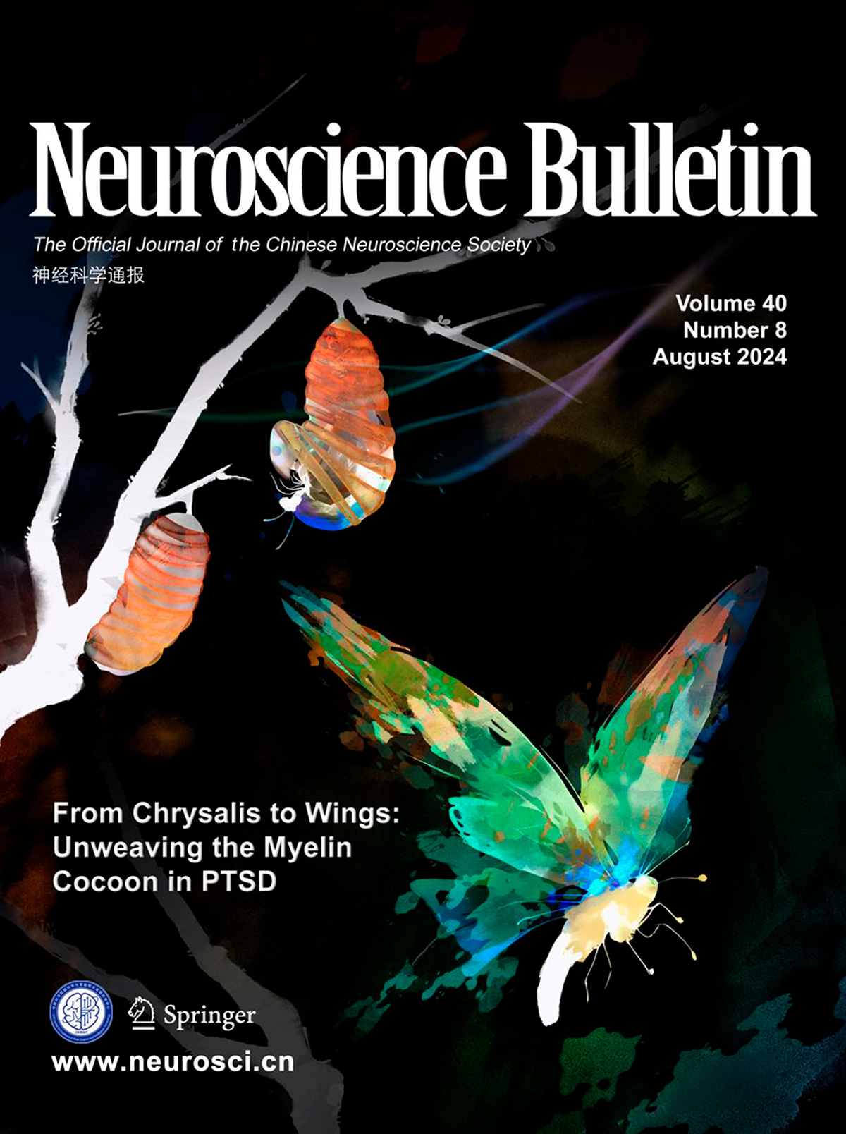 『Cover Story』New hope for PTSD treatment: Fluoxetine effectively alleviates psychological symptoms and abnormal myelination in mouse models!