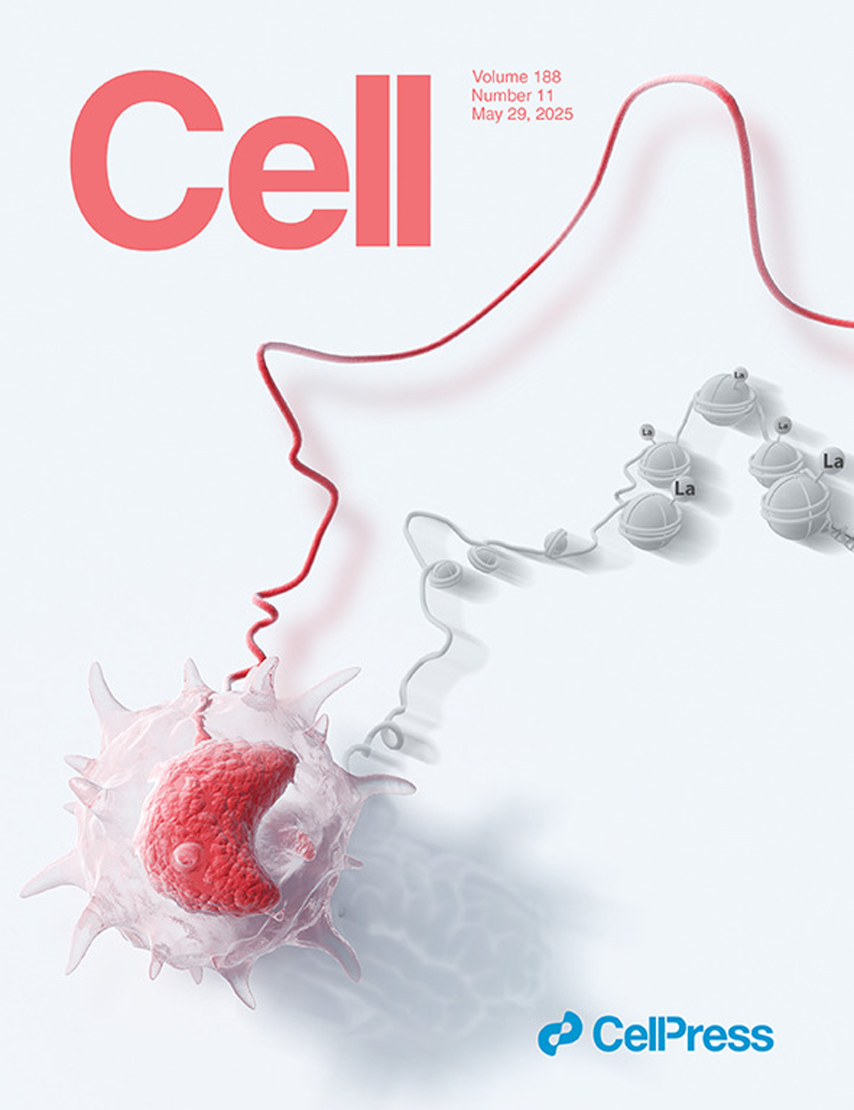 『Sondii's designed cover was featured in Cell』Decoding the 