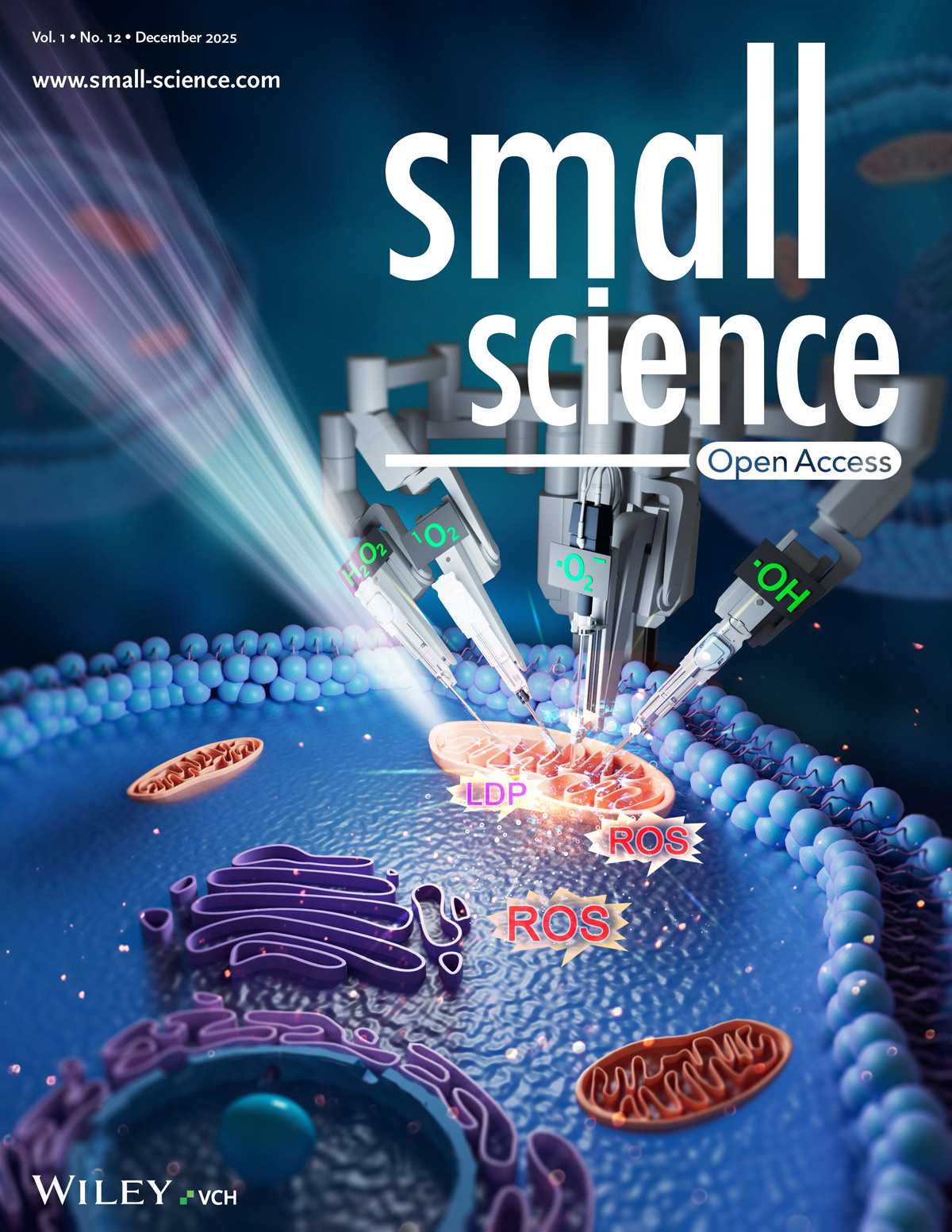 『Cover Story』 New Breakthrough in Femtosecond Laser: Real-Time 
